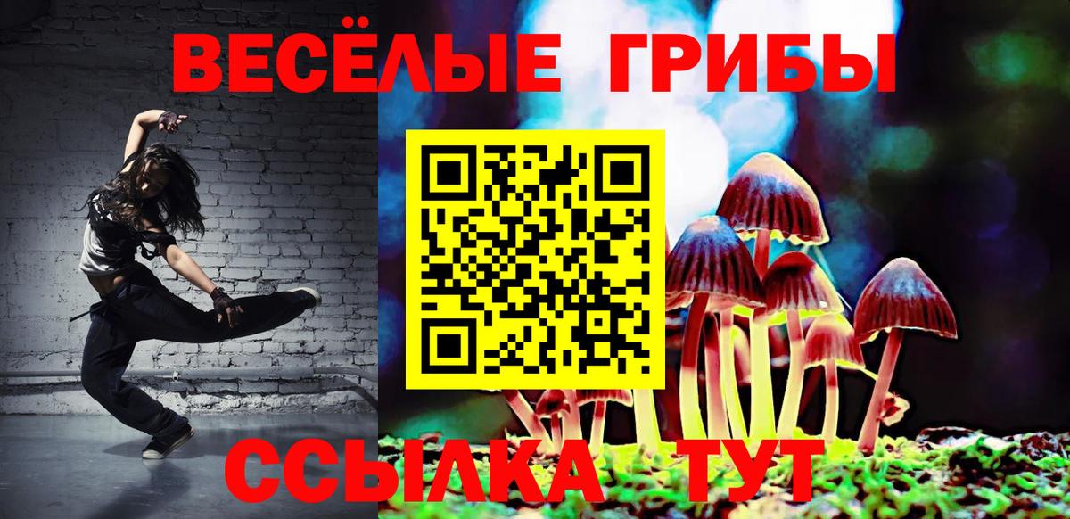 Псилоцибиновые грибы прущие грибы Коммунар